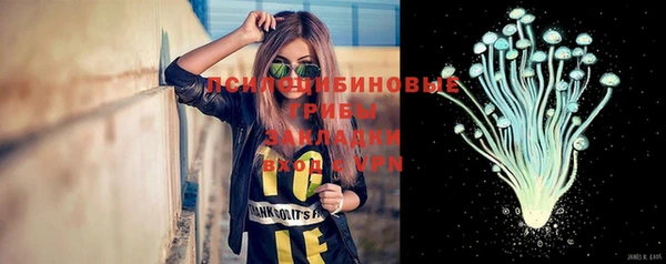 ECSTASY Гусь-Хрустальный