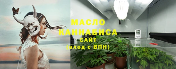 ECSTASY Гусь-Хрустальный