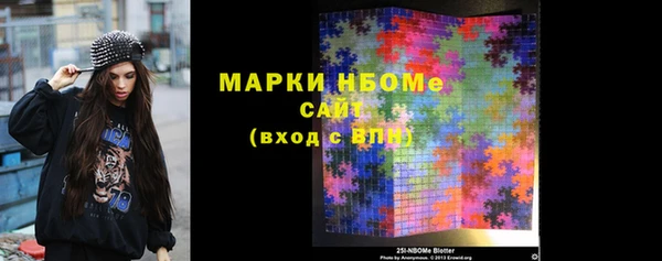 ECSTASY Гусь-Хрустальный