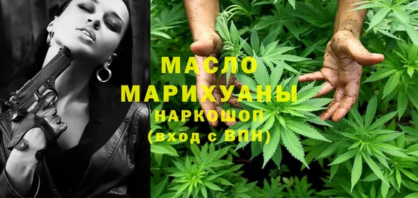 ECSTASY Гусь-Хрустальный