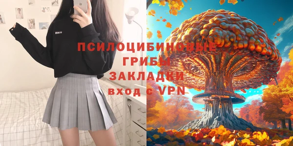 кокс Гусев