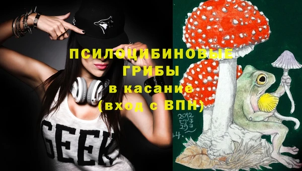 кокс Гусев