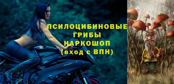 ECSTASY Гусь-Хрустальный