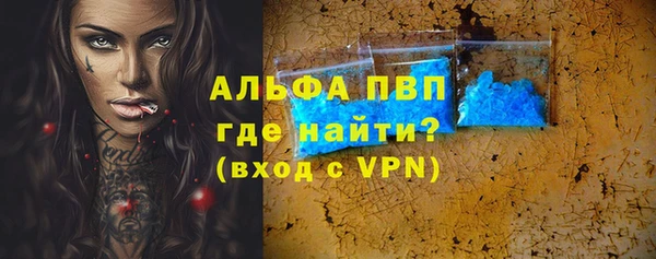 ECSTASY Гусь-Хрустальный