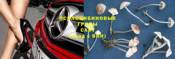 ECSTASY Гусь-Хрустальный