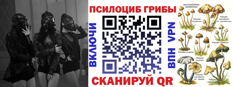 это состав  Горно-Алтайск  Псилоцибиновые грибы мицелий  купить наркотики цена 