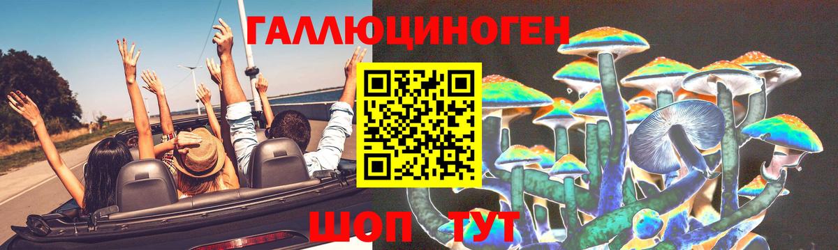 Горно-Алтайск  Галлюциногенные грибы Magic Shrooms  Вход с VPN 