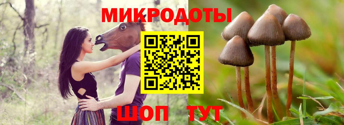 Экстази  ГЕРОИН  Бошки Шишки  Cocaine  Горно-Алтайск  ГАШ  Меф МЯУ МЯУ   Вход с VPN 
