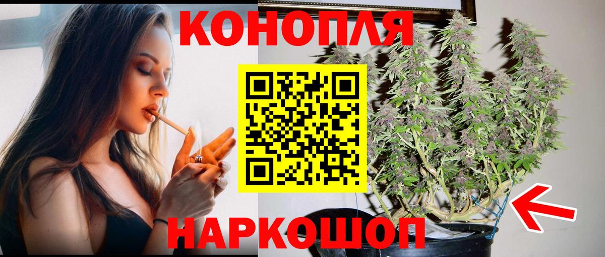 Бошки Шишки White Widow  Бошки Шишки планчик  Марихуана MAZAR  Марихуана Amnesia  Горно-Алтайск 